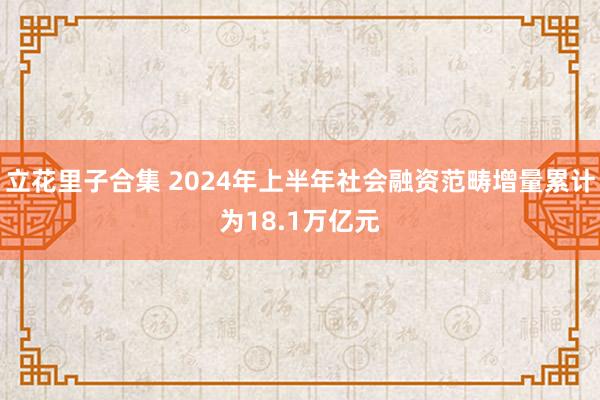 立花里子合集 2024年上半年社会融资范畴增量累计为18.1万亿元