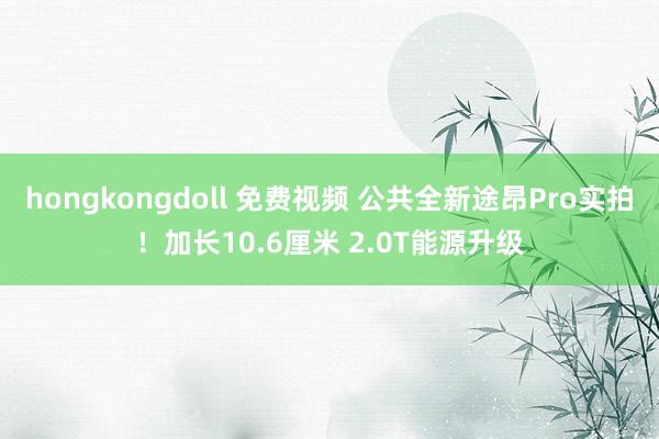 hongkongdoll 免费视频 公共全新途昂Pro实拍！加长10.6厘米 2.0T能源升级