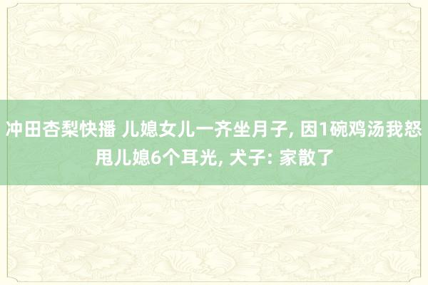 冲田杏梨快播 儿媳女儿一齐坐月子， 因1碗鸡汤我怒甩儿媳6个耳光， 犬子: 家散了