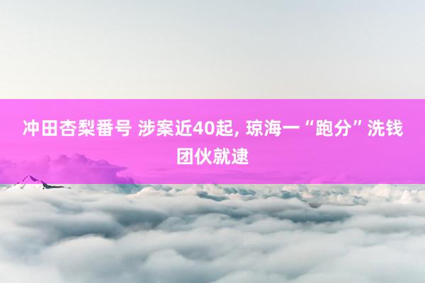 冲田杏梨番号 涉案近40起, 琼海一“跑分”洗钱团伙就逮