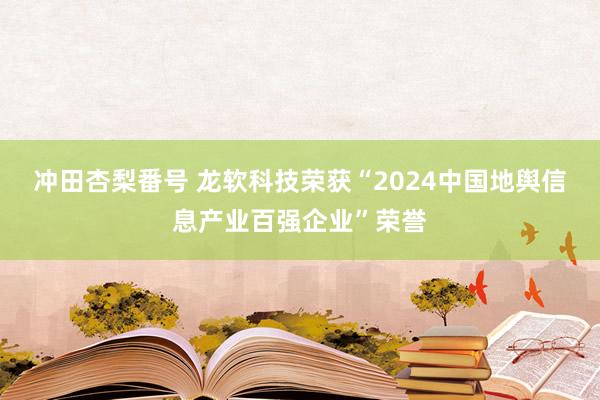 冲田杏梨番号 龙软科技荣获“2024中国地舆信息产业百强企业”荣誉