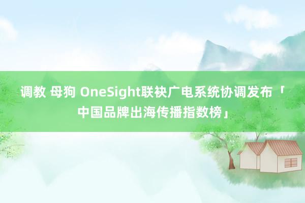 调教 母狗 OneSight联袂广电系统协调发布「中国品牌出海传播指数榜」