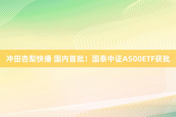 冲田杏梨快播 国内首批！国泰中证A500ETF获批