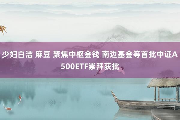 少妇白洁 麻豆 聚焦中枢金钱 南边基金等首批中证A500ETF崇拜获批