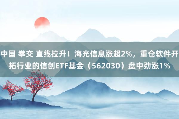 中国 拳交 直线拉升！海光信息涨超2%，重仓软件开拓行业的信创ETF基金（562030）盘中劲涨1%