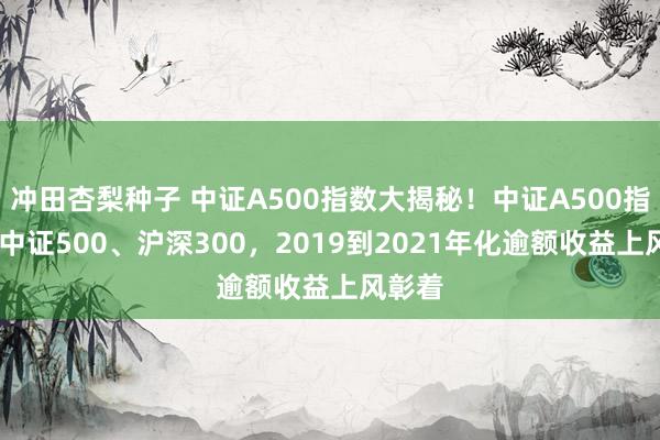 冲田杏梨种子 中证A500指数大揭秘！中证A500指数VS中证500、沪深300，2019到2021年化逾额收益上风彰着