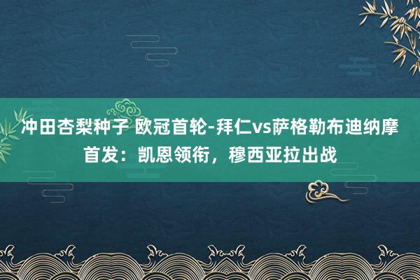 冲田杏梨种子 欧冠首轮-拜仁vs萨格勒布迪纳摩首发：凯恩领衔，穆西亚拉出战