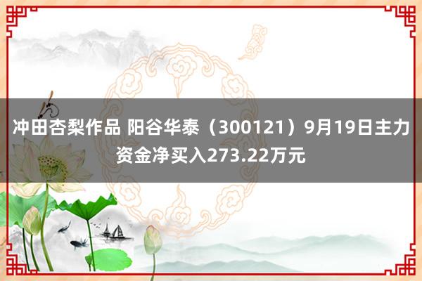 冲田杏梨作品 阳谷华泰（300121）9月19日主力资金净买入273.22万元