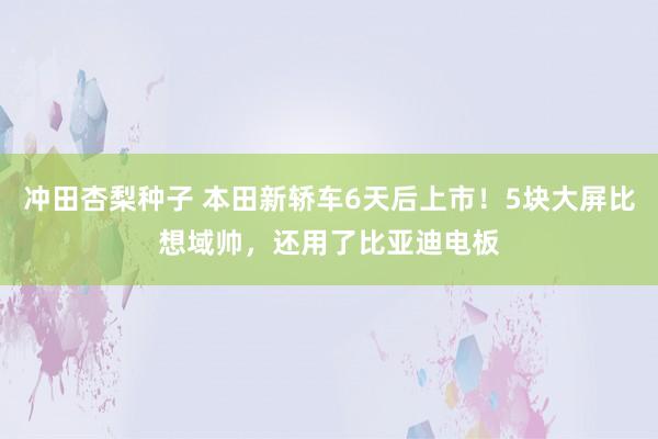 冲田杏梨种子 本田新轿车6天后上市！5块大屏比想域帅，还用了比亚迪电板