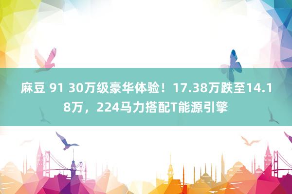 麻豆 91 30万级豪华体验！17.38万跌至14.18万，224马力搭配T能源引擎