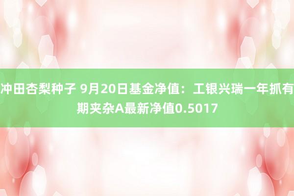 冲田杏梨种子 9月20日基金净值：工银兴瑞一年抓有期夹杂A最新净值0.5017