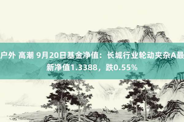 户外 高潮 9月20日基金净值：长城行业轮动夹杂A最新净值1.3388，跌0.55%