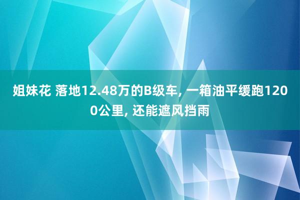 姐妹花 落地12.48万的B级车， 一箱油平缓跑1200公里， 还能遮风挡雨