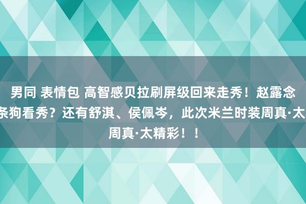 男同 表情包 高智感贝拉刷屏级回来走秀！赵露念念带两条狗看秀？还有舒淇、侯佩岑，此次米兰时装周真·太精彩！！