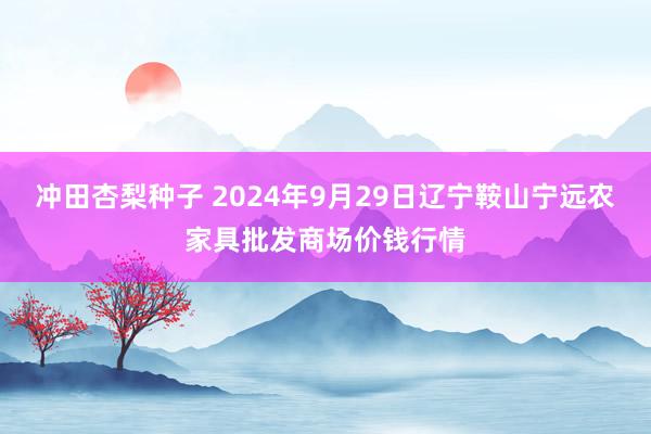 冲田杏梨种子 2024年9月29日辽宁鞍山宁远农家具批发商场价钱行情