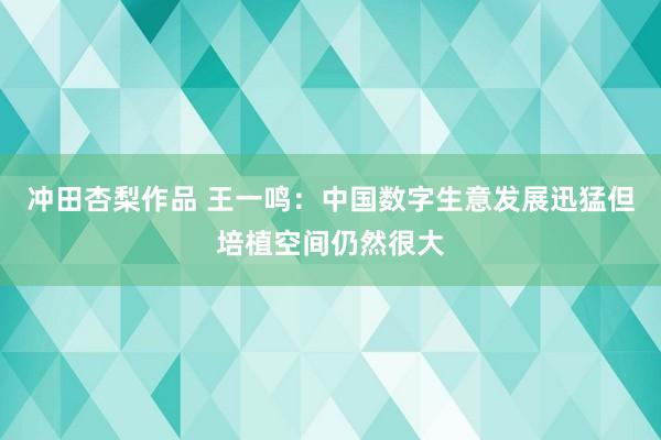 冲田杏梨作品 王一鸣：中国数字生意发展迅猛但培植空间仍然很大