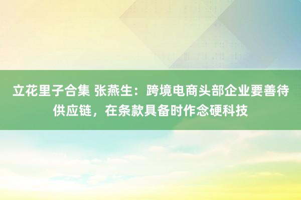 立花里子合集 张燕生：跨境电商头部企业要善待供应链，在条款具备时作念硬科技