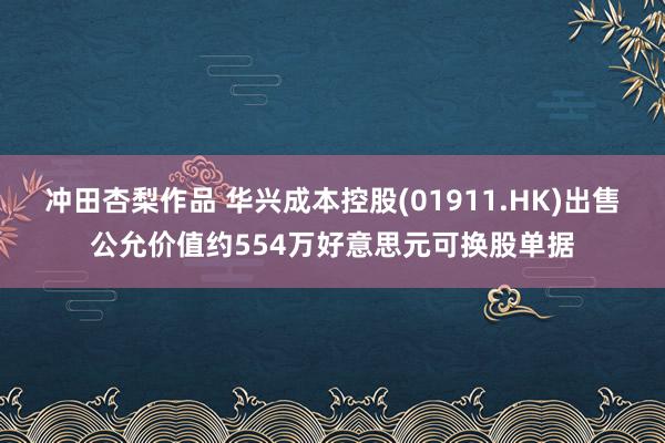 冲田杏梨作品 华兴成本控股(01911.HK)出售公允价值约554万好意思元可换股单据