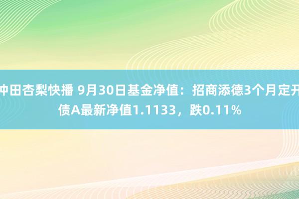 冲田杏梨快播 9月30日基金净值：招商添德3个月定开债A最新净值1.1133，跌0.11%