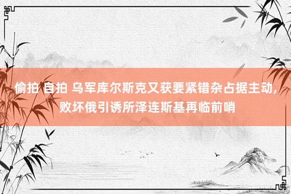 偷拍 自拍 乌军库尔斯克又获要紧错杂占据主动， 败坏俄引诱所泽连斯基再临前哨