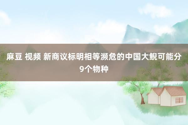 麻豆 视频 新商议标明相等濒危的中国大鲵可能分9个物种