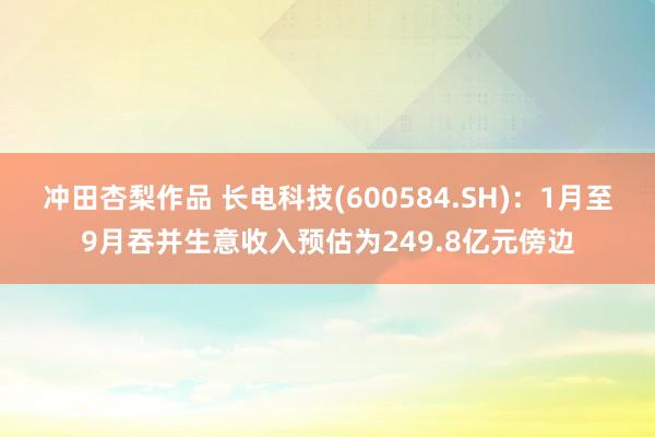 冲田杏梨作品 长电科技(600584.SH)：1月至9月吞并生意收入预估为249.8亿元傍边