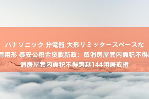 パナソニック 分電盤 大形リミッタースペースなし 露出・半埋込両用形 泰安公积金贷款新政：取消房屋套内面积不得跨越144闲居戒指