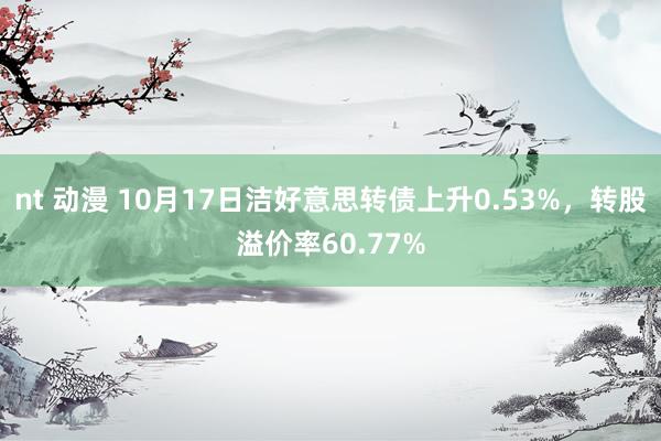 nt 动漫 10月17日洁好意思转债上升0.53%，转股溢价率60.77%