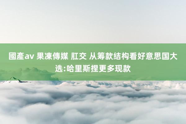 國產av 果凍傳媒 肛交 从筹款结构看好意思国大选:哈里斯捏更多现款