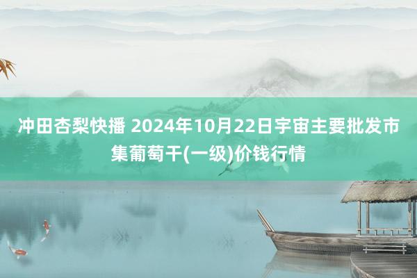 冲田杏梨快播 2024年10月22日宇宙主要批发市集葡萄干(一级)价钱行情