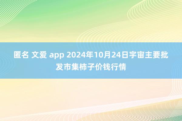 匿名 文爱 app 2024年10月24日宇宙主要批发市集柿子价钱行情