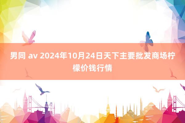 男同 av 2024年10月24日天下主要批发商场柠檬价钱行情