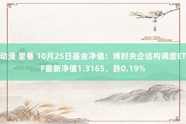 动漫 里番 10月25日基金净值：博时央企结构调度ETF最新净值1.3165，跌0.19%