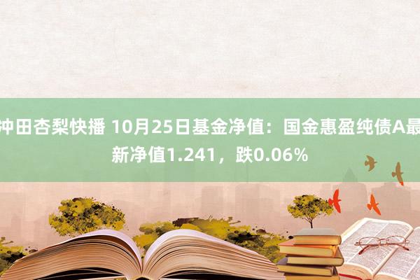 冲田杏梨快播 10月25日基金净值：国金惠盈纯债A最新净值1.241，跌0.06%