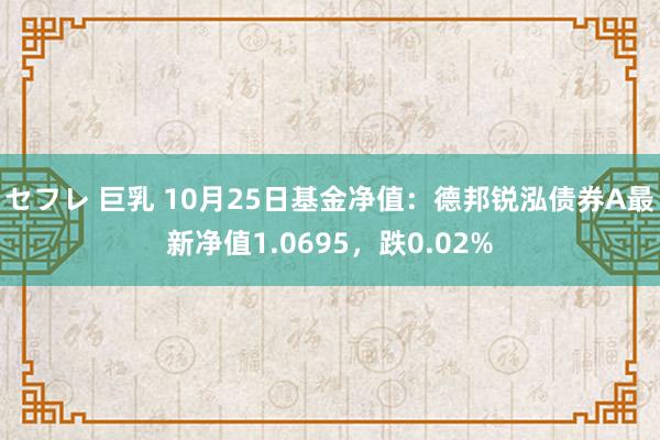 セフレ 巨乳 10月25日基金净值：德邦锐泓债券A最新净值1.0695，跌0.02%