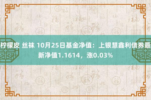 柠檬皮 丝袜 10月25日基金净值：上银慧鑫利债券最新净值1.1614，涨0.03%