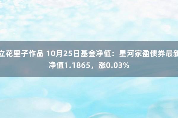 立花里子作品 10月25日基金净值：星河家盈债券最新净值1.1865，涨0.03%