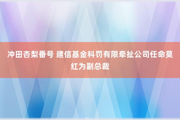 冲田杏梨番号 建信基金科罚有限牵扯公司任命莫红为副总裁