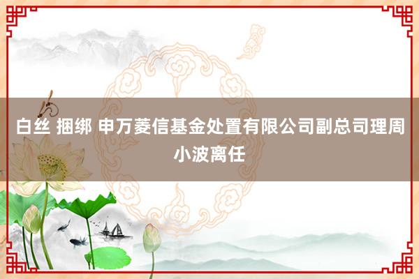 白丝 捆绑 申万菱信基金处置有限公司副总司理周小波离任