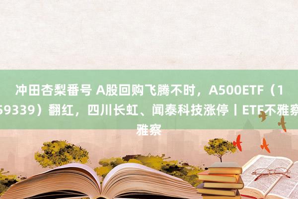 冲田杏梨番号 A股回购飞腾不时，A500ETF（159339）翻红，四川长虹、闻泰科技涨停丨ETF不雅察