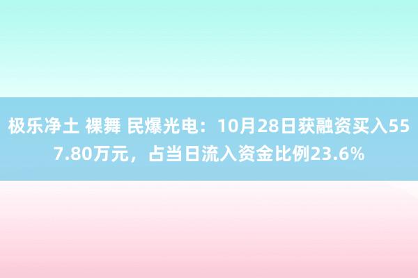 极乐净土 裸舞 民爆光电：10月28日获融资买入557.80万元，占当日流入资金比例23.6%