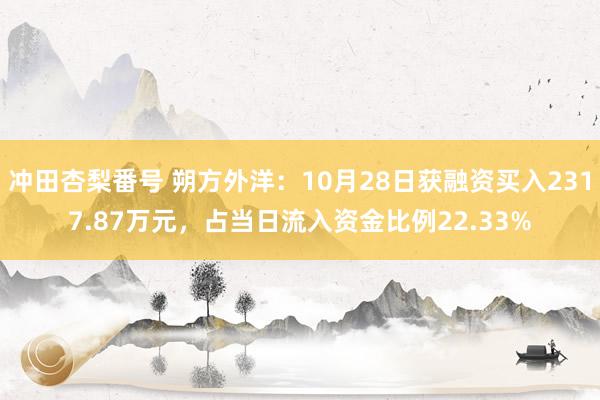 冲田杏梨番号 朔方外洋：10月28日获融资买入2317.87万元，占当日流入资金比例22.33%