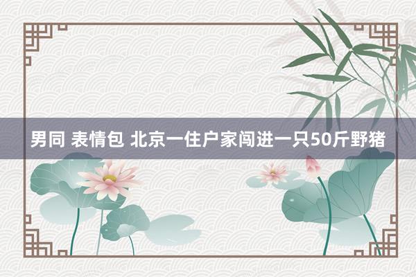 男同 表情包 北京一住户家闯进一只50斤野猪