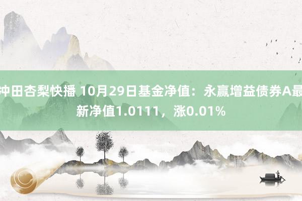 冲田杏梨快播 10月29日基金净值：永赢增益债券A最新净值1.0111，涨0.01%