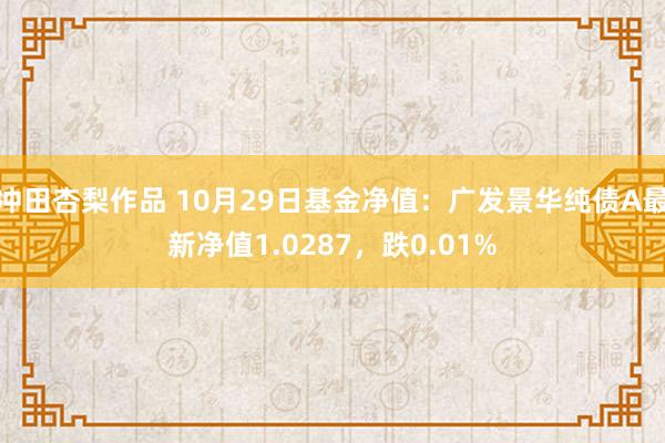 冲田杏梨作品 10月29日基金净值：广发景华纯债A最新净值1.0287，跌0.01%