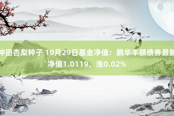 冲田杏梨种子 10月29日基金净值：鹏华丰颐债券最新净值1.0119，涨0.02%