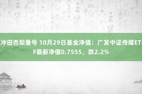 冲田杏梨番号 10月29日基金净值：广发中证传媒ETF最新净值0.7555，跌2.2%