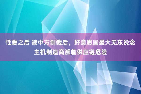 性爱之后 被中方制裁后，好意思国最大无东说念主机制造商濒临供应链危险