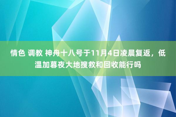 情色 调教 神舟十八号于11月4日凌晨复返，低温加暮夜大地搜救和回收能行吗