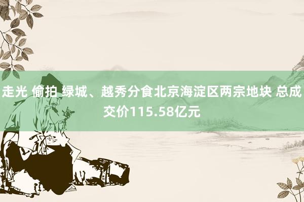 走光 偷拍 绿城、越秀分食北京海淀区两宗地块 总成交价115.58亿元